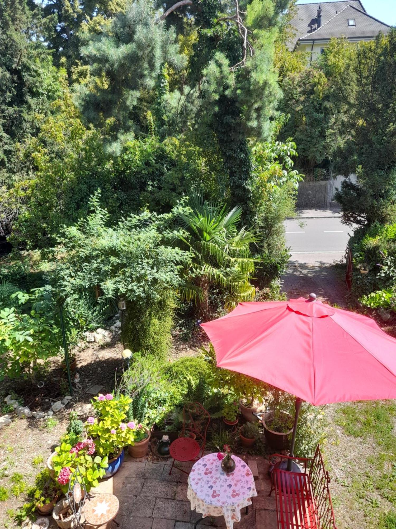 B&B Am Park Rheinfelden Esterno foto