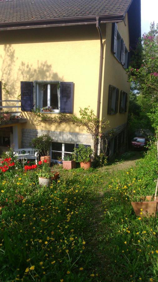 B&B Am Park Rheinfelden Esterno foto